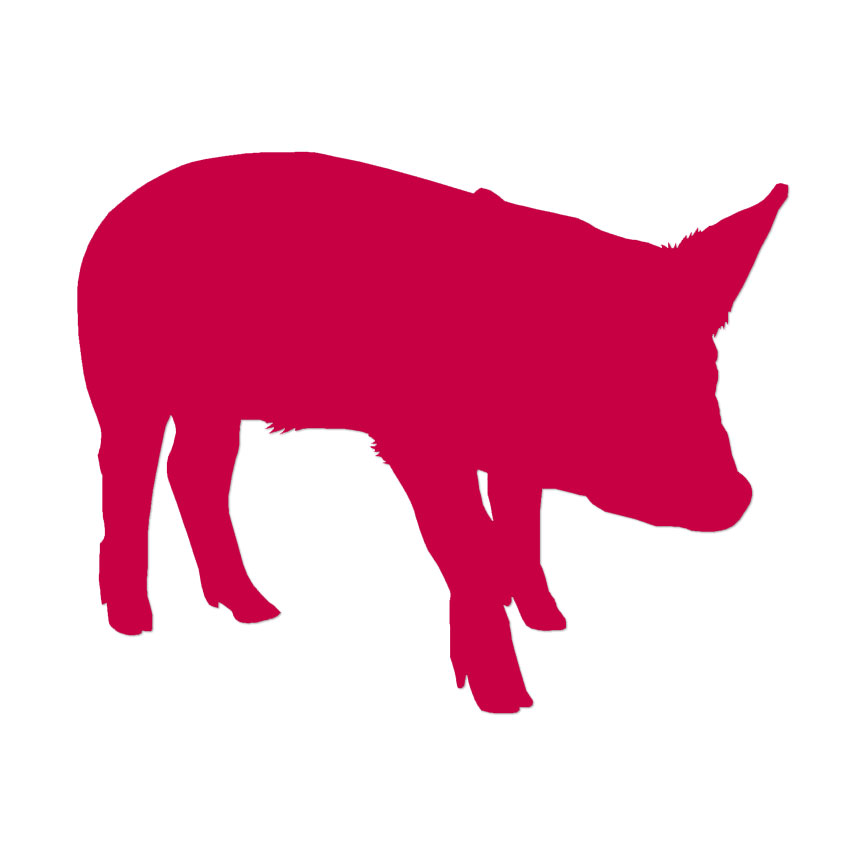 Pig Swine - Vinyl Decal Sticker - Multiple Colors & Sizes